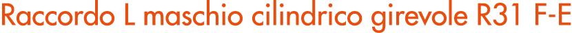 Raccordo L maschio cilindrico girevole R31 F E