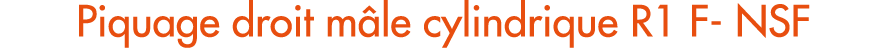Piquage droit m le cylindrique R1 F NSF